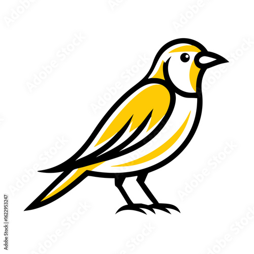 Yellow canary bird isolated on white background