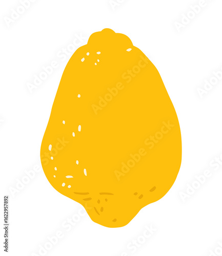 Lemon fruit. Hand drawn citrus lemon illustration.