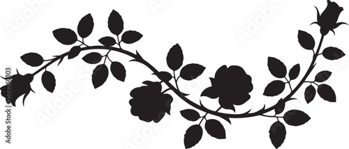 Black silhouette of a thorny rose vine elegantly curved with flowers and buds