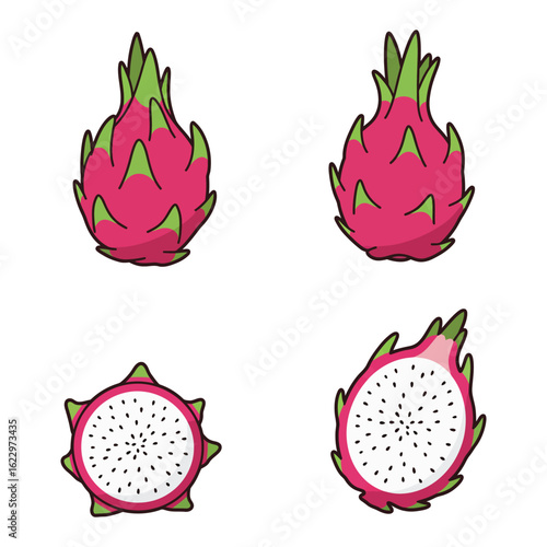 Dragon fruit illustration showing whole and sliced pitaya on a white background