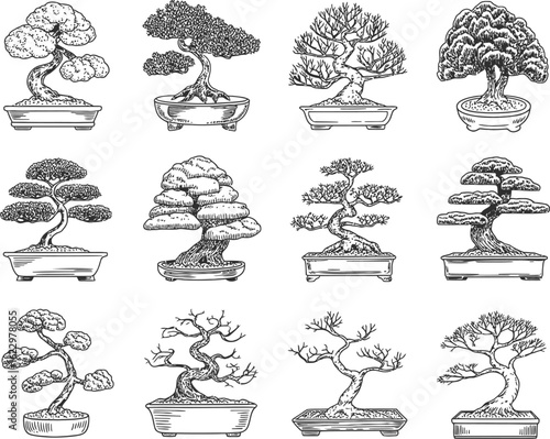 Collection of twelve hand drawn bonsai trees in sketch style