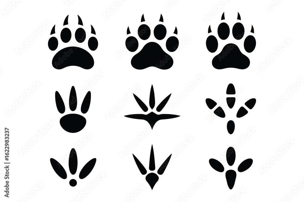 Animal paw prints and bird footprints animal tracks Animal paw prints and bird footprints animal tracks