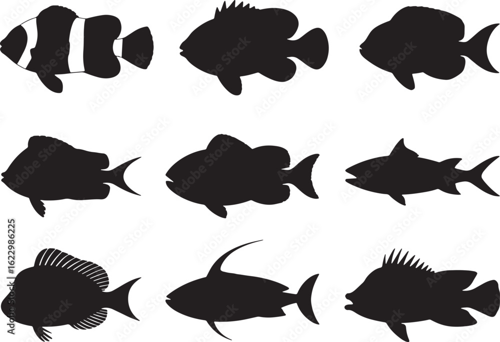 Fototapeta premium Aquatic Silhouettes A Collection of Fish Outlines for Marine Biology and Underwater Themes