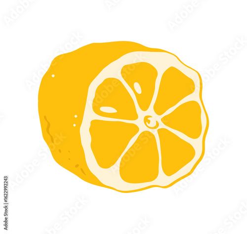 Lemon fruit illustration in hand drawn style.