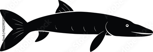 Simple vector illustration of a fish, featuring vibrant colors and a clean, modern design