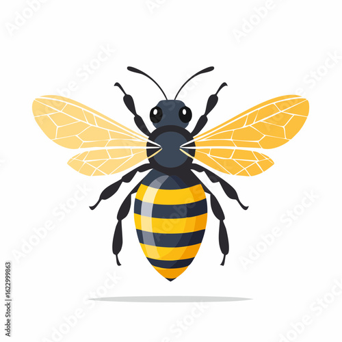 Detailed illustration of a honeybee highlighting its distinctive physical attributes
