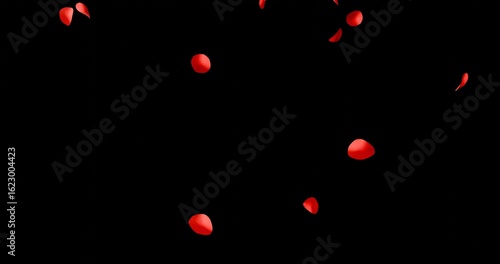 赤いバラの花びらの乱舞：背景透過　ループ