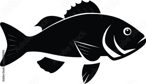 Colorful vector clip art of a fish, showcasing its fins and scales in a stylized design