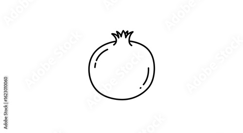 Simple line drawing of a pomegranate fruit on a white background  