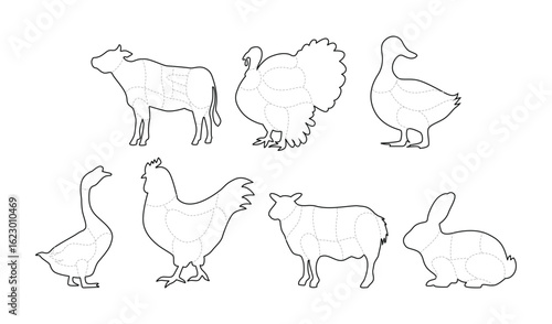 Set of Butcher Meat Cuts Poster Outline Collection, Chicken, Goat, Lamb, Rabbit, Duck, Chicken, Turkey, Goose meat cuts Line Art. Butchery Cattle Bbq, Posters groceries, butcher shop, meat store