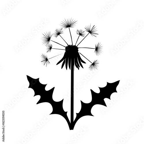 Minimalist black and white dandelion illustration for freedom and fragility