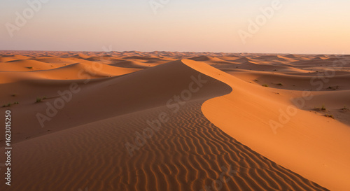 Wallpaper Mural Sweeping sand dunes under a warm sky with rippled textures and desert landscape in the horizon view Torontodigital.ca