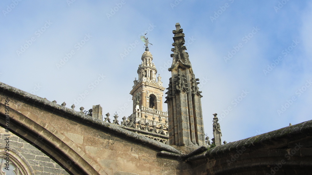 Naklejka premium Cubiertas de la Catedral de Sevilla y Giralda