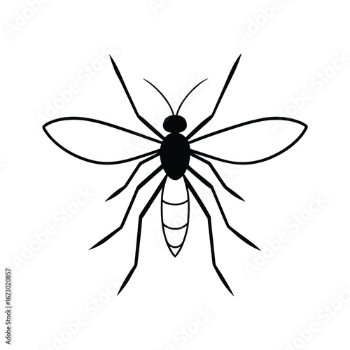 mosquito-head-on-white-background