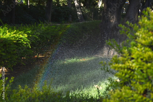 Arcoiris de aspersores