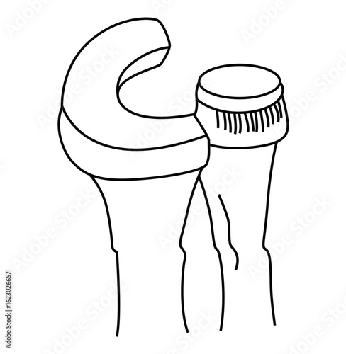 Science of hand drawn vector bone joint ball and socket outline.