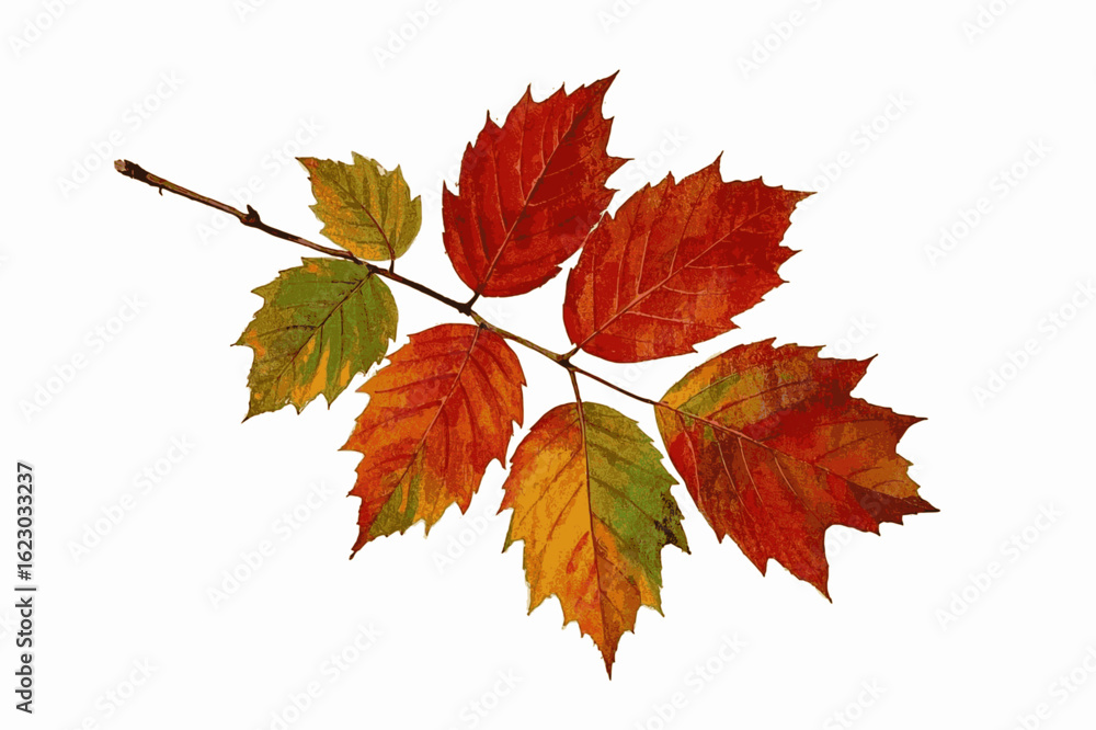 Fototapeta premium Seasonal Serenade dry leaves The most beautiful leaves isolated watercolor vector illustration svg