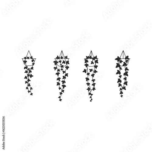 Silhouette of hanging ivy plants in geometric planters