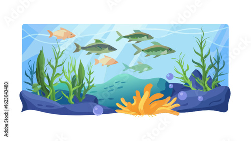 Aquarium with fish, coral and algae, a colorful underwater scene with marine animals and plants, a tropical reef with aquatic life, isolated on white background
