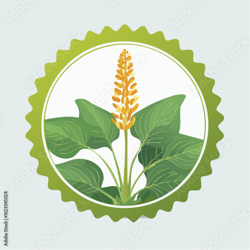 Elegant Illustration of a flowering plant with large leaves encircled by a decorative border