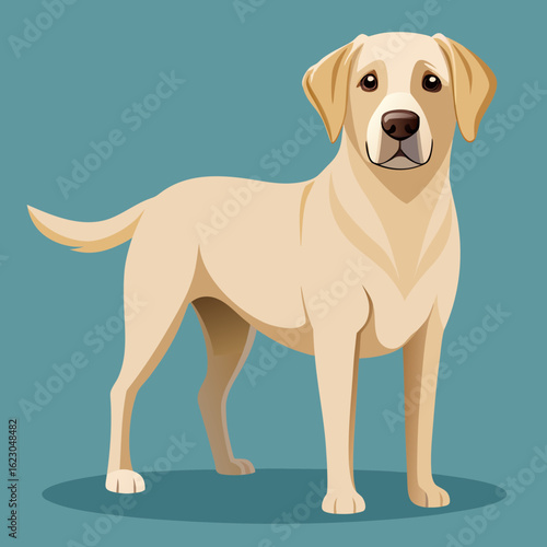 labrador retriever dog vector art illustration