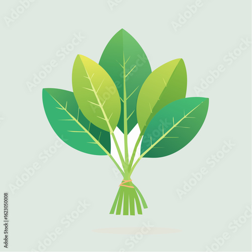Vibrant Bunch of Spinach: A Fresh and Healthy Green Vegetable Vector Illustration