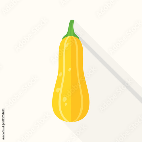 A visually appealing illustration of a butternut squash with a clean and modern design