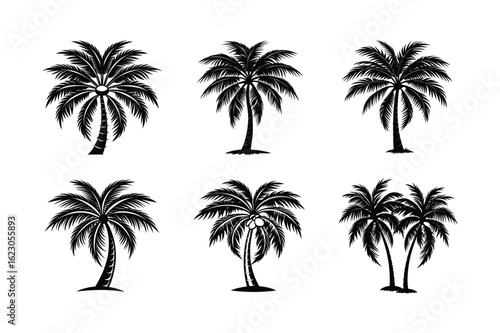 Palm Tree Bundle
