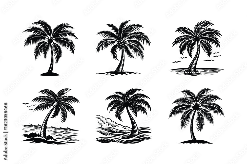 Fototapeta premium Palm Tree Bundle