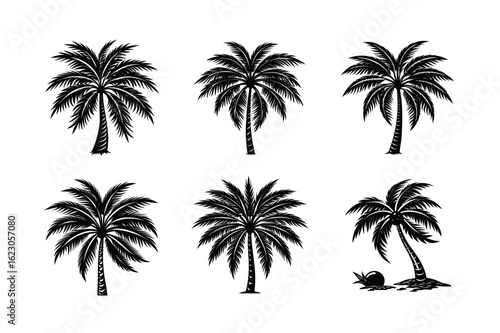 Palm Tree Bundle