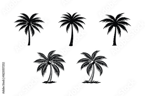 Palm Tree Bundle