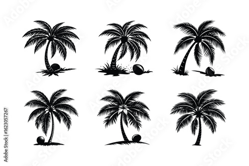Palm Tree Bundle