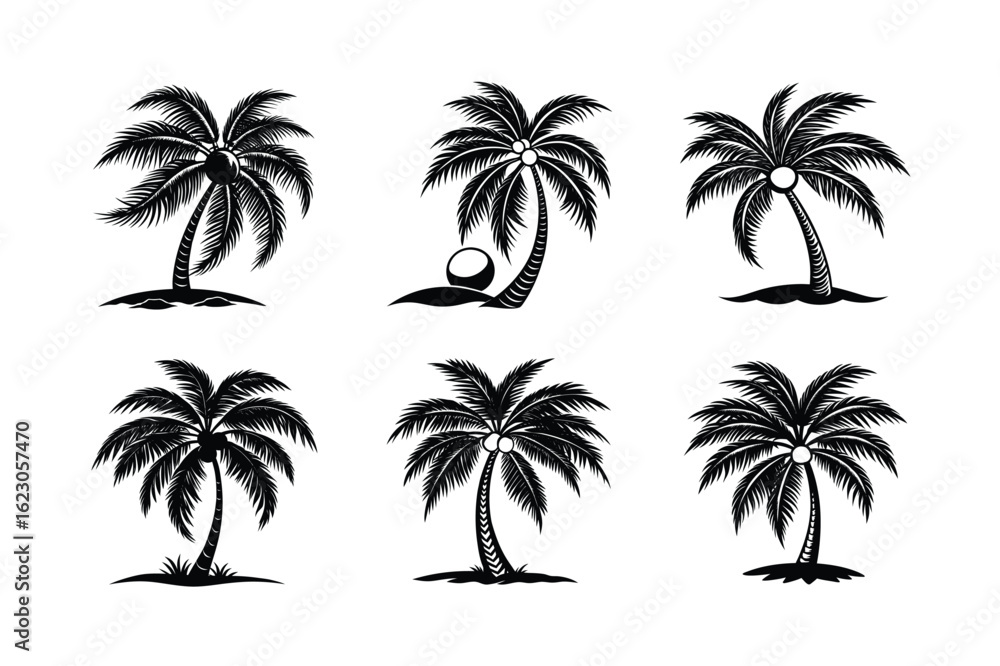 Fototapeta premium Palm Tree Bundle