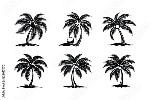 Palm Tree Bundle