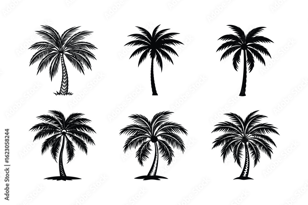 Fototapeta premium Palm Tree Bundle