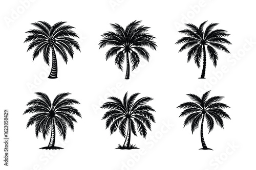 Palm Tree Bundle