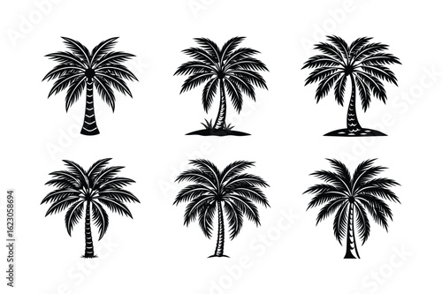 Palm Tree Bundle
