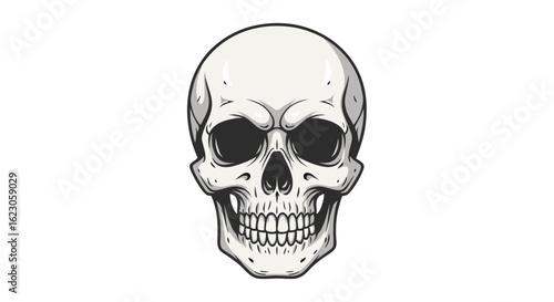 A detailed illustration of a human skull with visible teeth and eye sockets on a white background