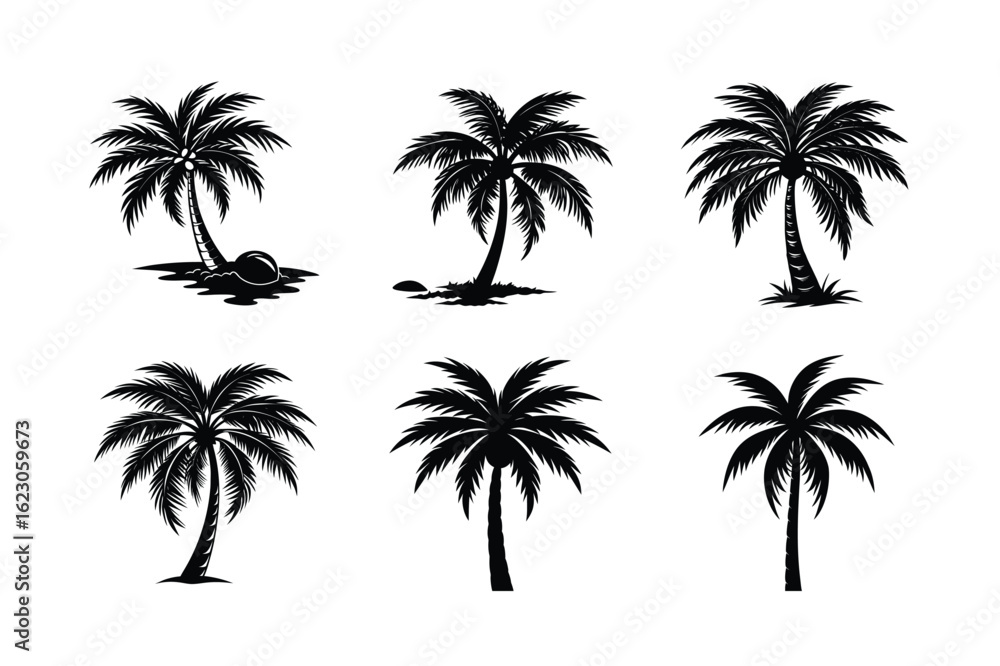 Obraz premium Palm Tree Bundle