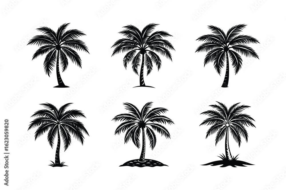 Fototapeta premium Palm Tree Bundle