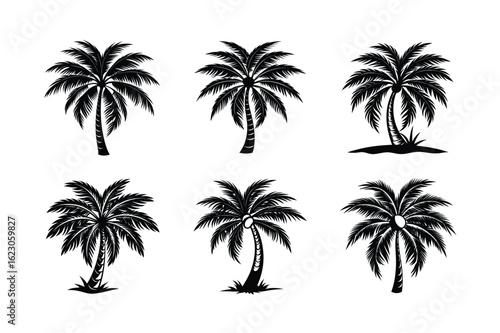 Palm Tree Bundle