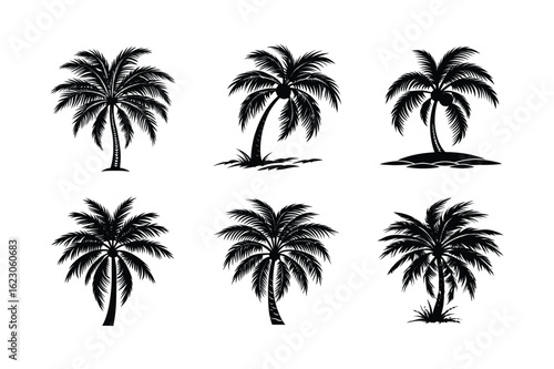 Palm Tree Bundle