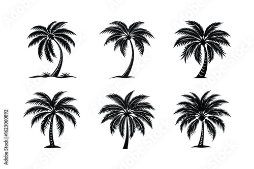 Palm Tree Bundle