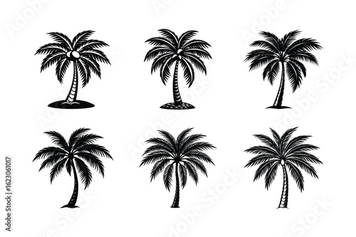 Palm Tree Bundle