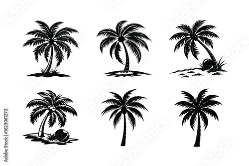 Palm Tree Bundle