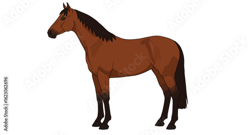 A Beautiful Brown Horse Standing Proudly in a Field with a Mane and Tail That Flow Gently in the Breeze Illustrating Grace and Streng