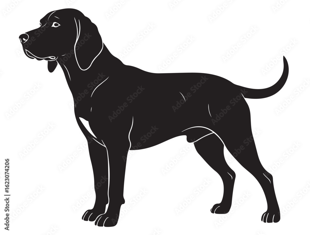 Obraz premium COONHOUND DOG SILHOUETTE
