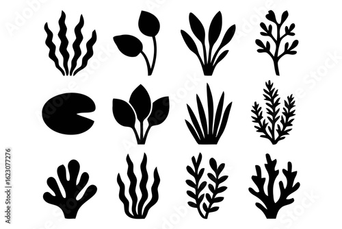 Collection of aquatic plant silhouettes isolated on white background