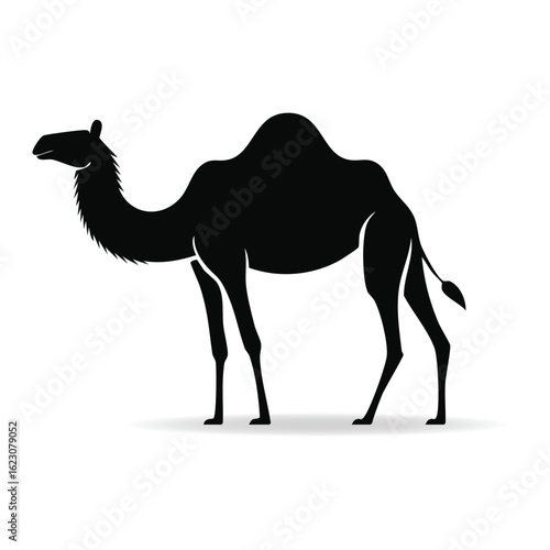 Silhouette of a Camel Standing Against a White Background