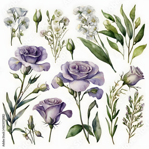 Beautiful pink and purple tulips and roses in a floral bouquet illustration